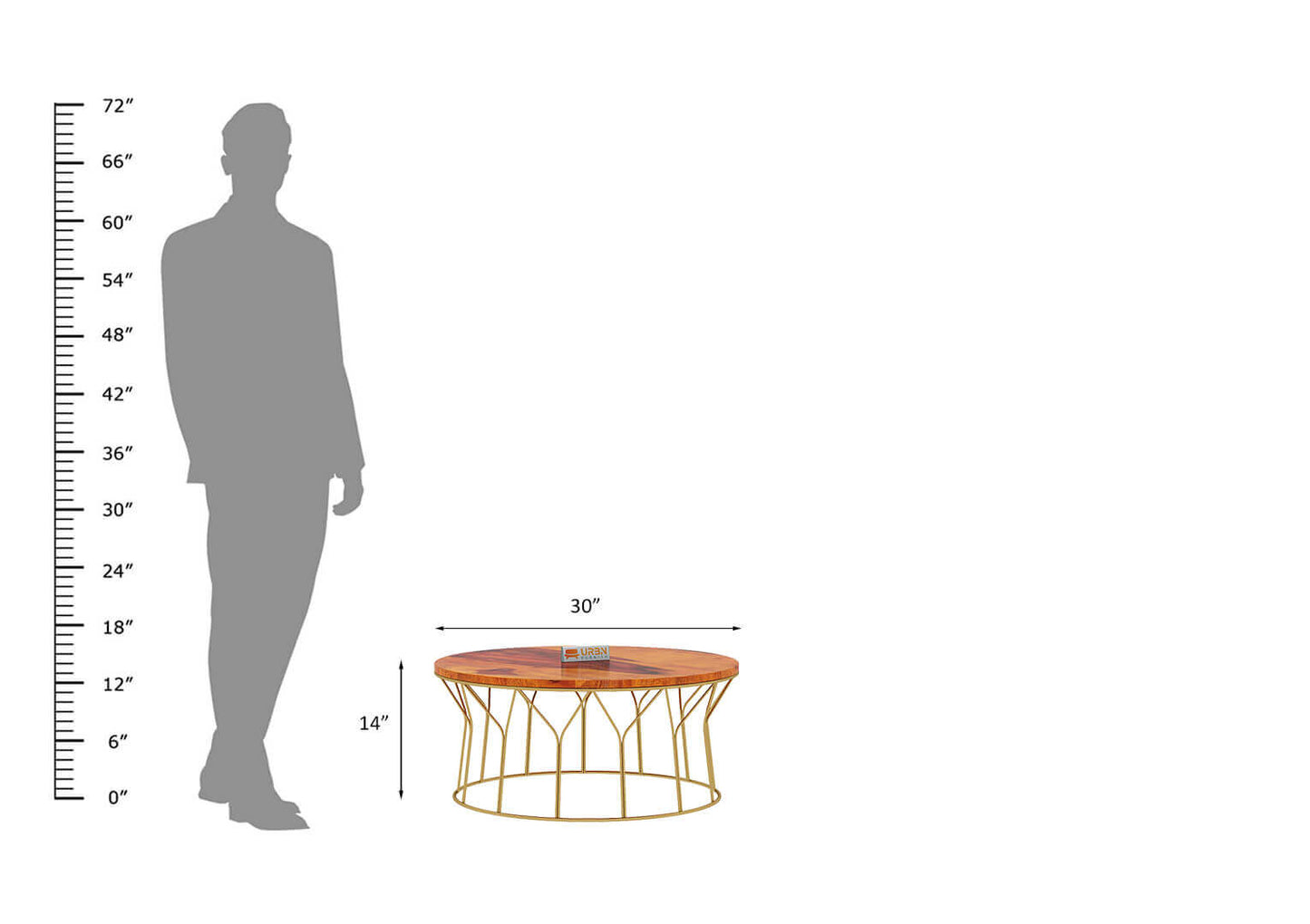 Pannikin-Coffee-Table-Golden-Honey_4