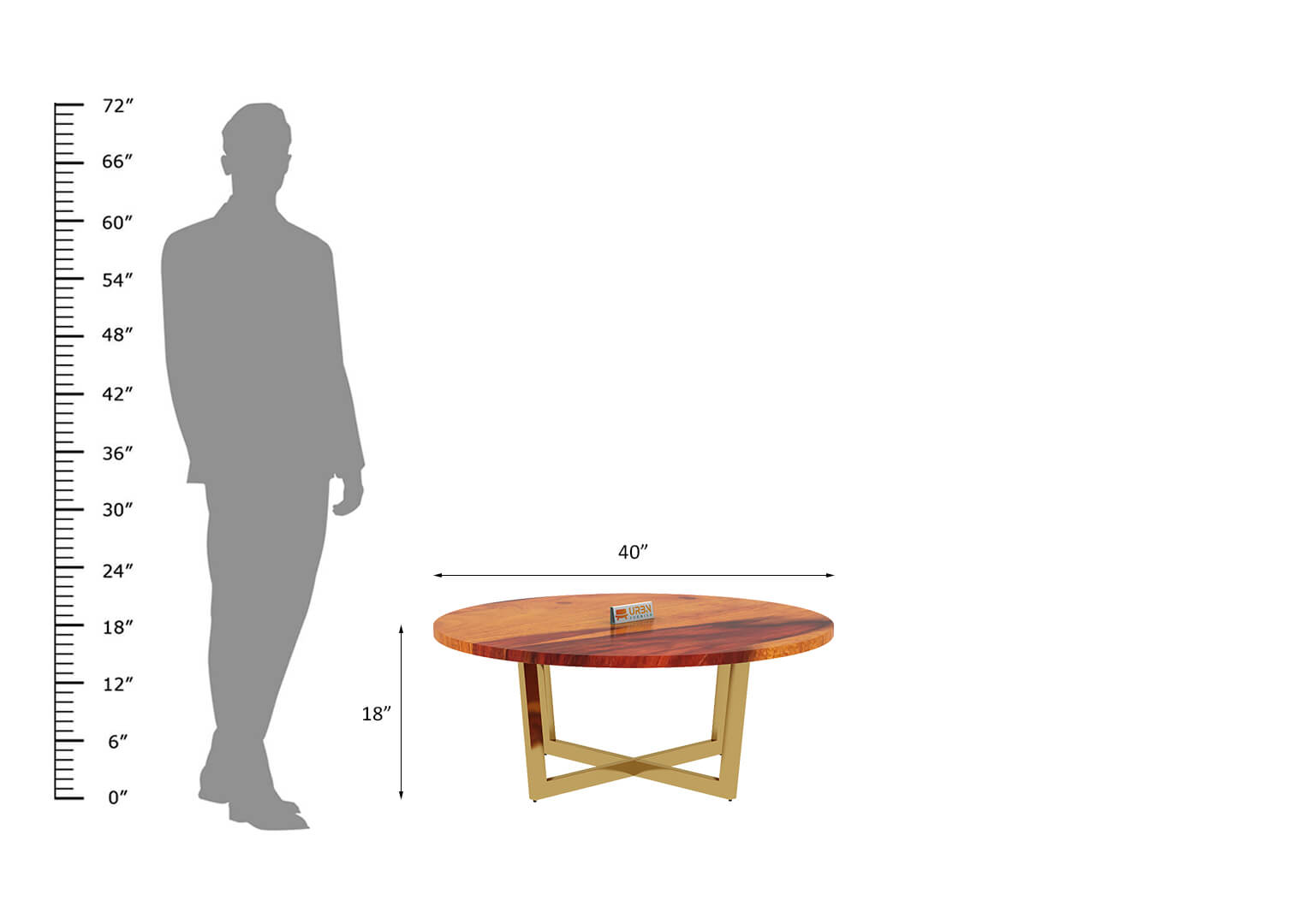 Dillwyn-Coffee-Table-Golden-Honey_4