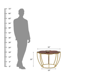 Floret-Coffee-Table-Golden-Mahogany_5