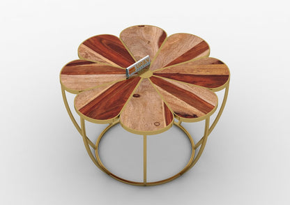 Floret-Coffee-Table-Golden-Natural_4