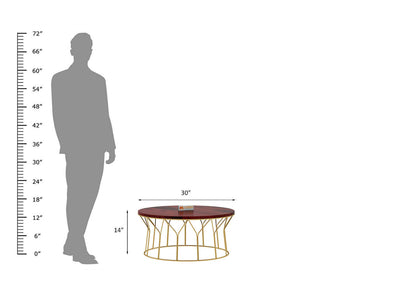 Pannikin-Coffee-Table-Golden-Mahogany_4