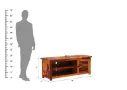Gisette-Tv-Unit-Honey(5).webp