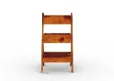 Oblivion-Bookshelf-Honey(2).webp