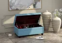 Torpid-Shoe-Rack-Walnut-Blue(2).webp