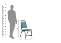 Elans-Cafe-Chair-Black-Blue(4).webp