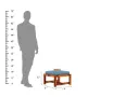 Paladin-Coffee-Table-Set-With-Two-Stools-Honey-Blue(10).webp