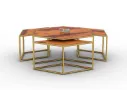 Dulcet-Coffee-Table-Set-Golden-Honey(5).webp