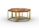 Dulcet-Coffee-Table-Set-Golden-Honey(4).webp