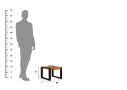 Tryst-Coffee-Table-Set-Black-Honey(10).webp