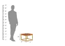Pristine-Coffee-Table-Set-Golden-Honey(10).webp