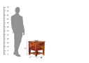 Zene-Bedside-Table-Honey(5).webp