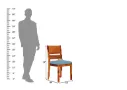 Sovrana-Chair-Honey-Blue(4).webp
