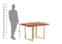 Ritaya-4-Seater-Table-Golden-Honey(4).webp