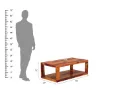 Janelle-Coffee-Table-Honey(4).webp