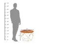 Waylowe-Center-Table-Golden-Honey(4).webp