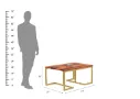Pellucid-Coffee-Table-Golden-Honey(4).webp