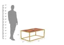 Exigent-Coffee-Table-Golden-Honey(4).webp