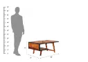 Insisive-With-Legs-Coffee-Table-Black-Honey(6).webp
