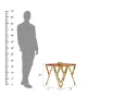Careen-End-Side-Table-Golden-Honey(4).webp