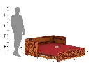 Tinsel-Wooden-Sofa-Cum-Bed-Honey-Red(11).webp