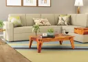 Cynosure Coffee Table