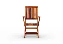 Niksha Balcony Foldable Chair
